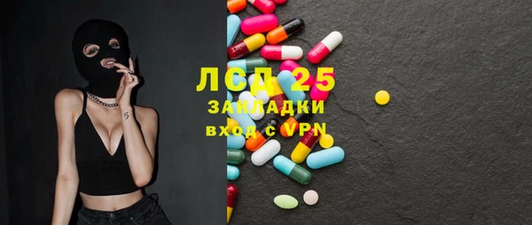 шишки Медвежьегорск