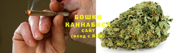 молекула духа Медногорск