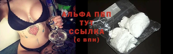 шишки Медвежьегорск