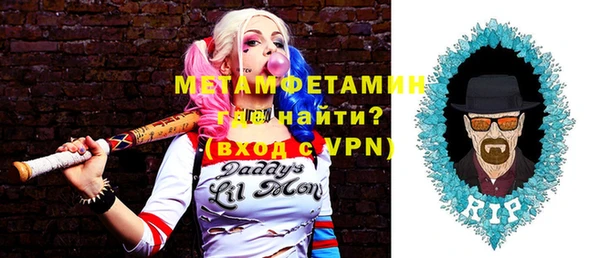 шишки Медвежьегорск