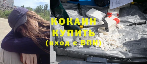 шишки Медвежьегорск