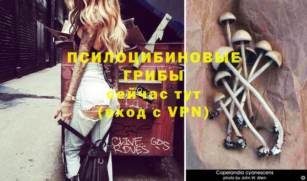 кокс Мегион