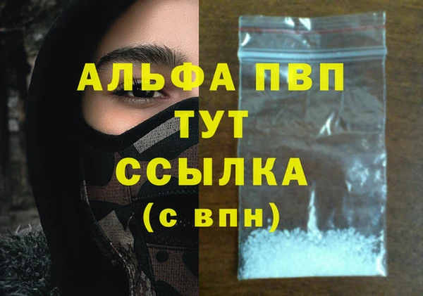 гашик Бердск