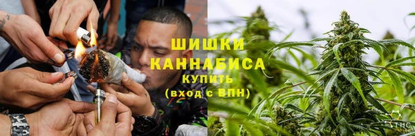 шишки Медвежьегорск