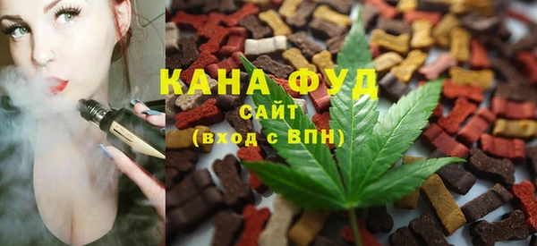 молекула духа Медногорск