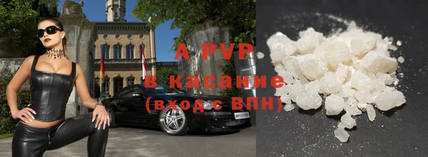 шишки Медвежьегорск