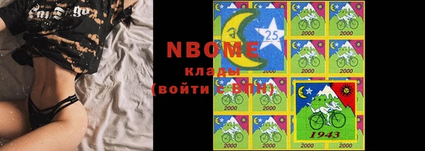 шишки Медвежьегорск