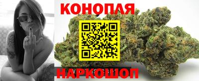 spice Обь