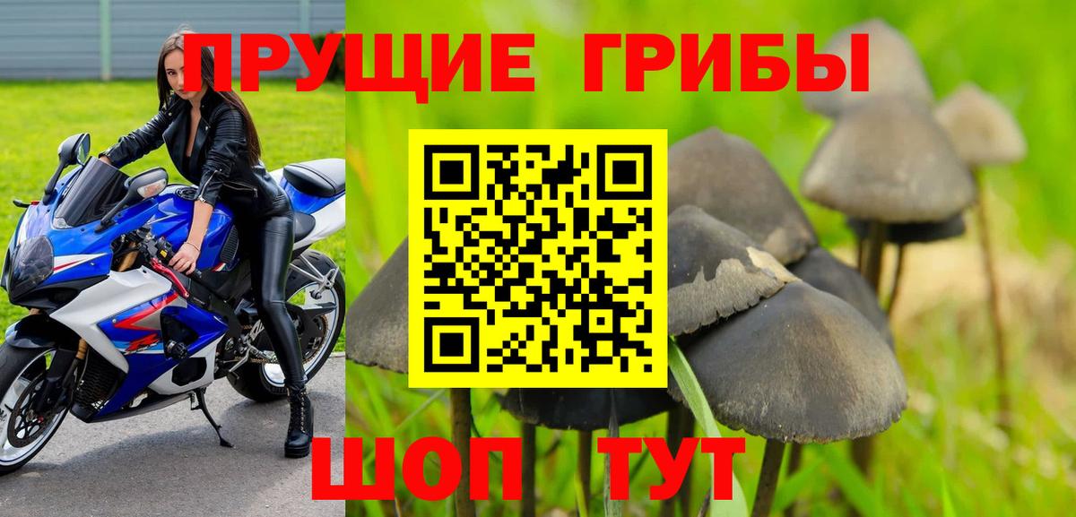 Феодосия  Псилоцибиновые грибы GOLDEN TEACHER  Вход с VPN 